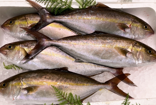 福岡の魚は美味しい！長浜鮮魚市場内の人気の食堂も紹介！
