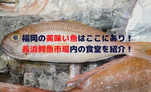 福岡の美味い魚はここにあり！長浜鮮魚市場内の食堂を紹介！