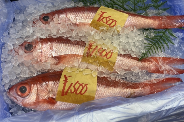 福岡の魚は美味しい！長浜鮮魚市場内の人気の食堂も紹介！